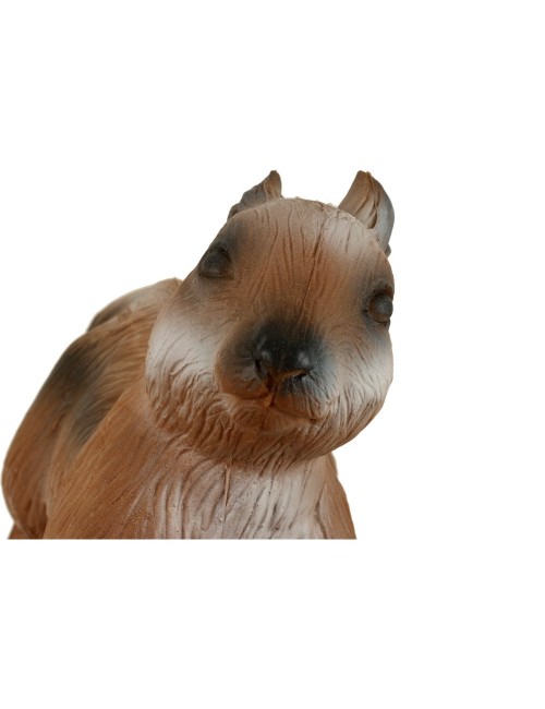 Longlife laufendes Eichhörnchen