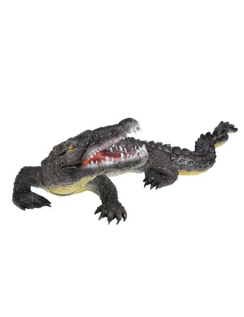 Franzbogen großer Alligator
